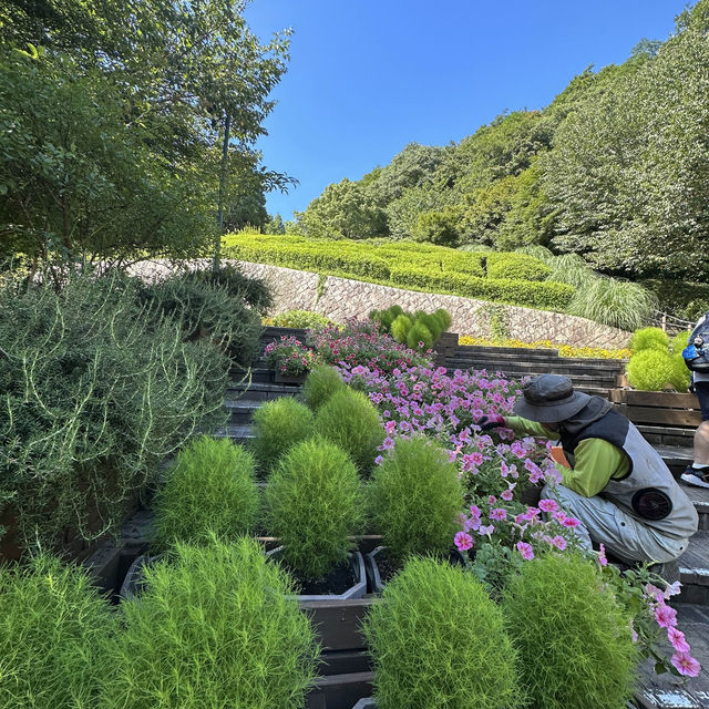 Herbal garden in Kobe