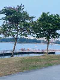 💫Bedok Reservoir💫neighbourhood leisure park