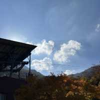 The Place with Eternal Autumn Foilage!