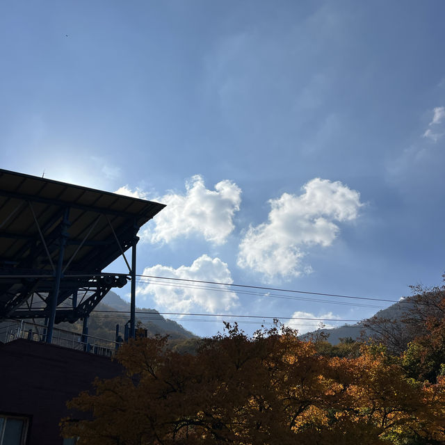 The Place with Eternal Autumn Foilage!