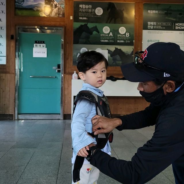 제주는 말이죠?! 🐎풍경을 즐기며 말을타보자 어승생승마장