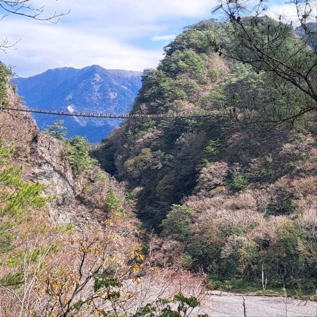 呼吸芬多精好地方