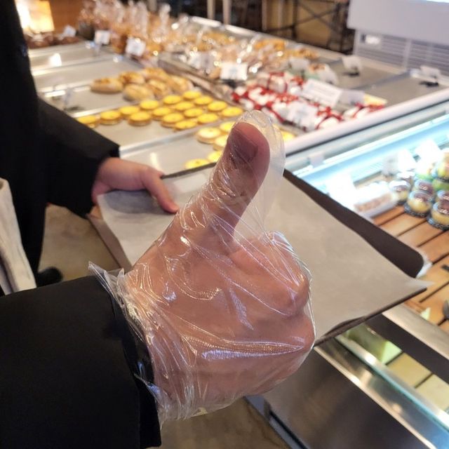 숲속에 있는 더 포레 카페