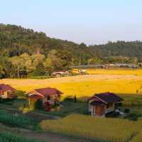 หนาวนี้ที่บ้านแม่กลางหลวง