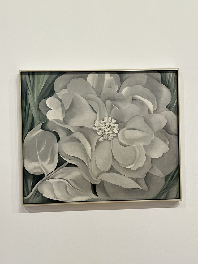아이와 둘러보기 좋은 미술관, 휘트니미술관🎨