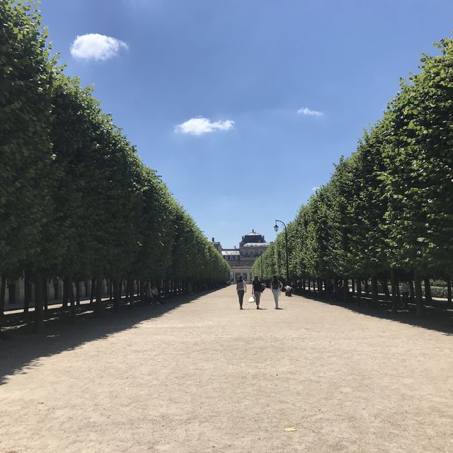 法國🇫🇷網紅必到景點‼️Emily in Paris取景地🫶🏻皇家宮殿花園