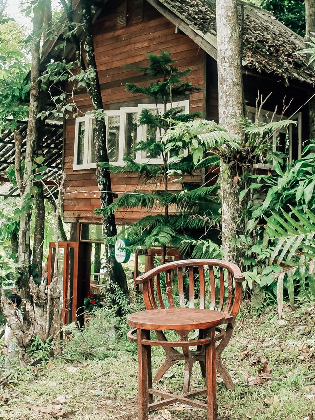 สมศรีมีกาแฟ : Somsee mee kafe 🌲🪵🏠☕️