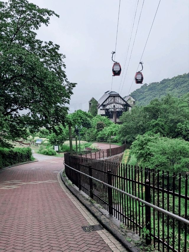 【癒しの神戸】ハーブが香る神戸布引ハーブ園