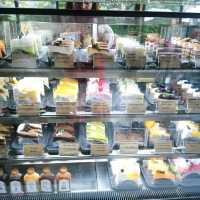 คาเฟ่หลงป่า จ.อุดรธานี