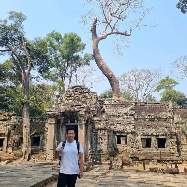 Ancient Temple - TaProhm Temple 