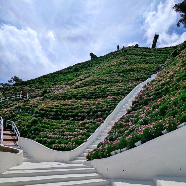 A Crowd Pleaser: Cameron Highlands Flora Park