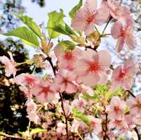 萬葉公園