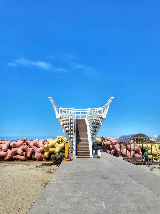 해중공원전망대에서 바라보는 강릉오션뷰는 최고🌊