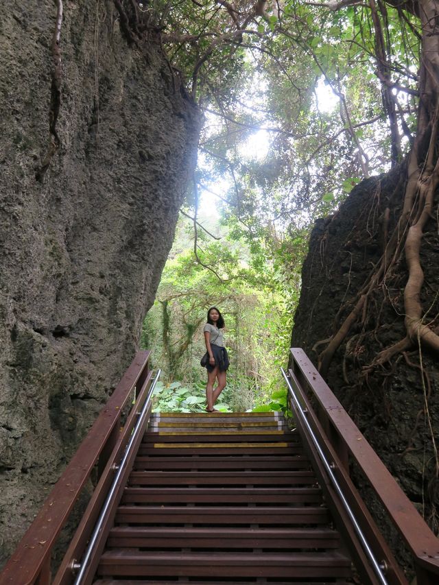 小琉球隱藏的原始森林🌳《山豬溝》