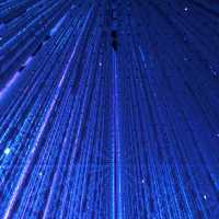 TeamLab Plants TOKYO