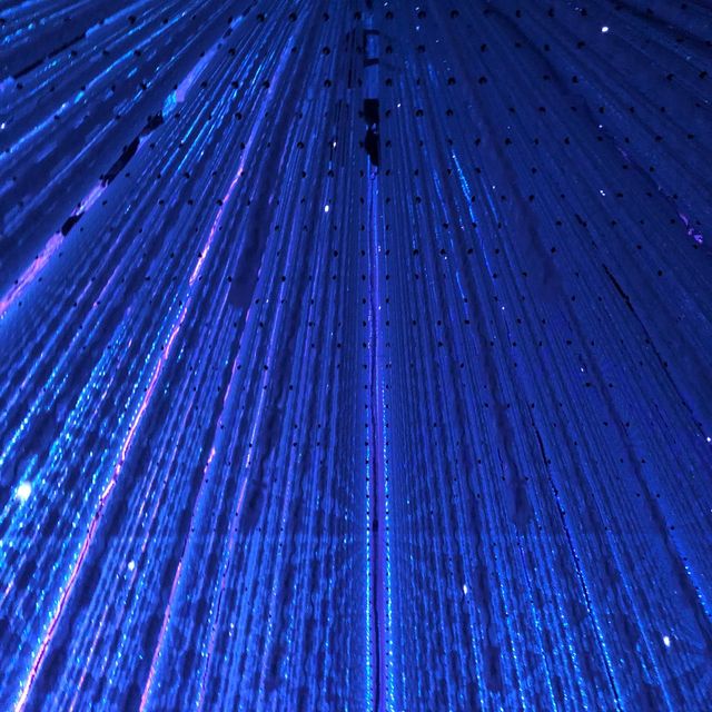 TeamLab Plants TOKYO