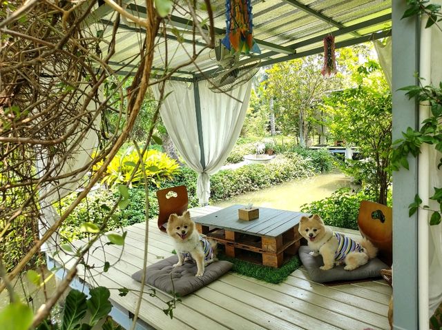 พาน้องหมามาหายใจทิ้งที่คาเฟ่นี้กัน  อยู่อัมพวานี้เอง