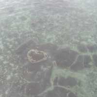 踏上海上的伸展台｜浪漫看海之橋