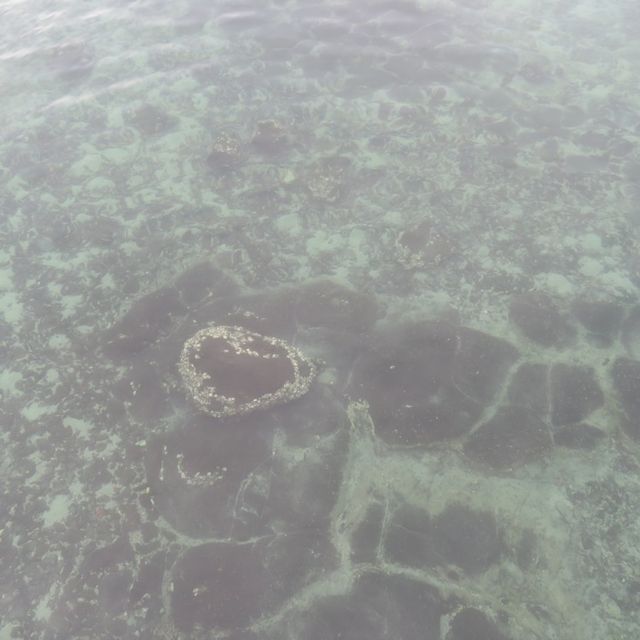 踏上海上的伸展台｜浪漫看海之橋