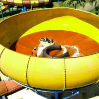 Complete Water Park Experience for Everyone