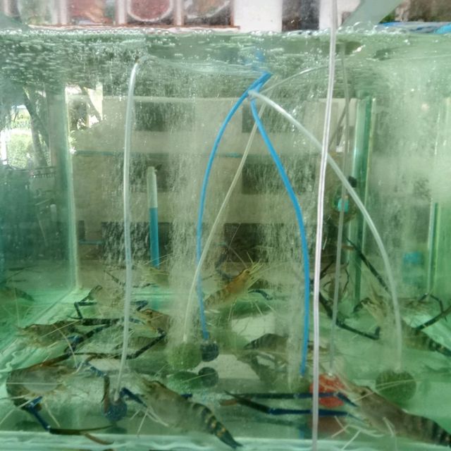 อ่าวขนอมซีฟู้ด