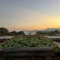 คาเฟ่ ร้านอาหาร ที่พัก ครบจบในที่เดียว