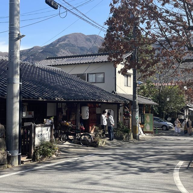 아기자기한 매력의 유후인 유노츠보 거리🛤️