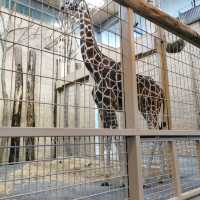 Zoological Gardens Karlsruhe