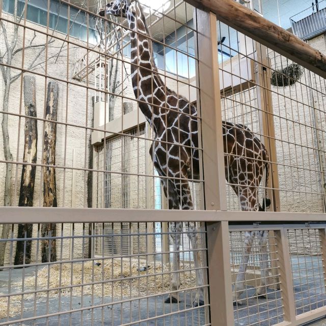 Zoological Gardens Karlsruhe
