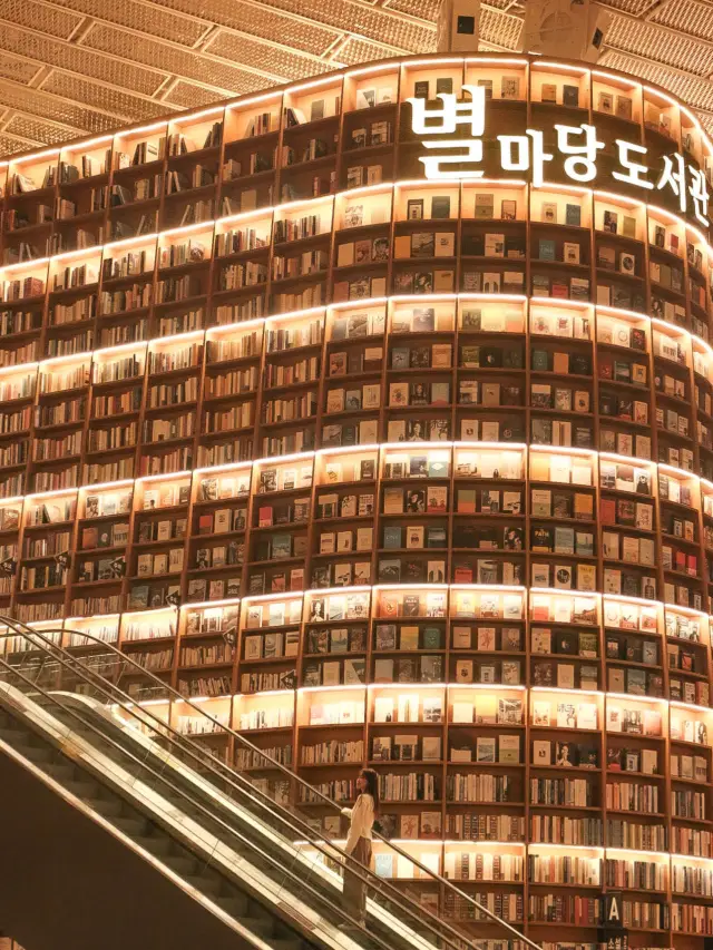 令人驚嘆的星空圖書館✨