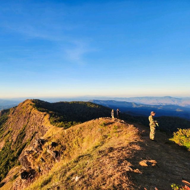 ดอยม่อนจอง จ.เชียงใหม่⛰️🌳