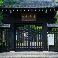 常寂光寺!!尋找內心寧靜的放鬆🌸🏯 