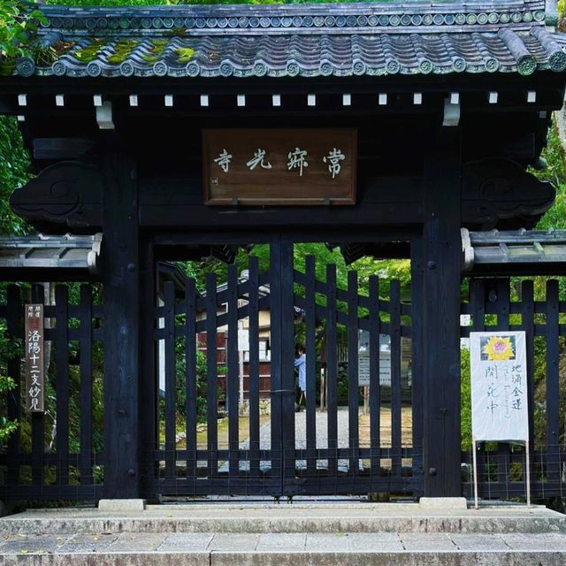 常寂光寺!!尋找內心寧靜的放鬆🌸🏯 