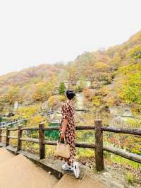 Fukushima trip in Autumn 