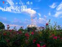 山下公園 ＠横浜🌹