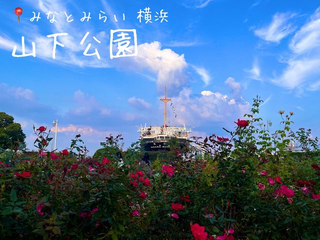 山下公園 ＠横浜🌹