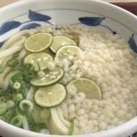 瀬戸大橋を見ながら讃岐うどん