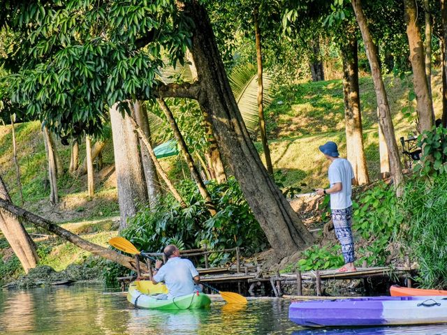 ปลาวาฬหลงทาง Camp & Cafe