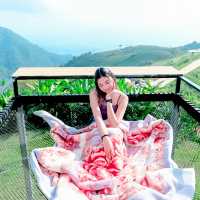 ไปรับลมหนาว ที่ภูทับเบิก