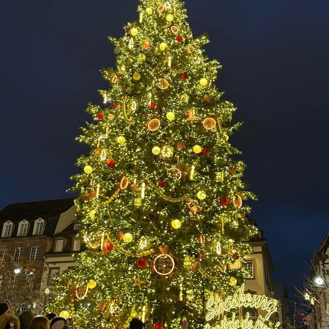 Strasbourg Christmas Market 🎄