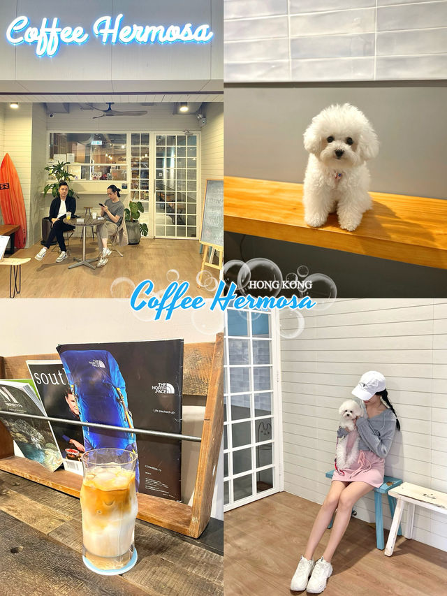 香港天后悠閒寧靜寵物友善咖啡店-Coffee Hermosa