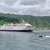 Picton Bliss: Ferry Memories Revived