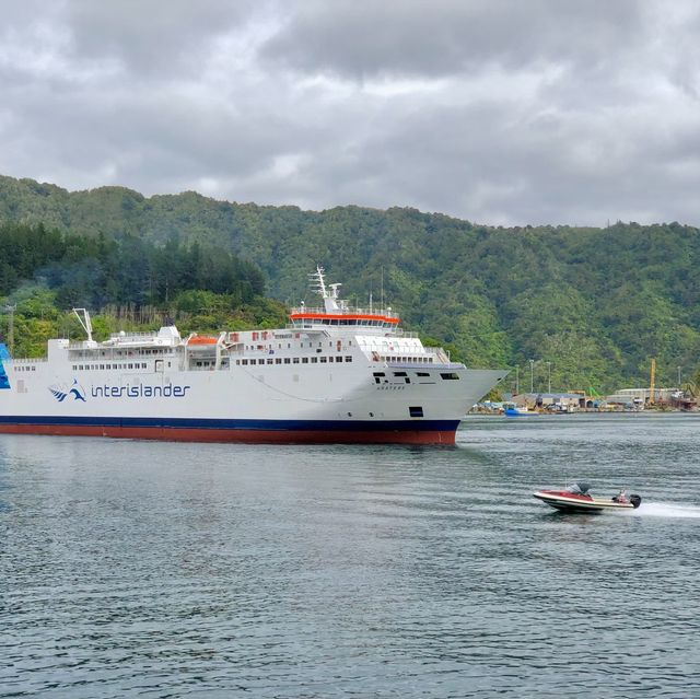 Picton Bliss: Ferry Memories Revived