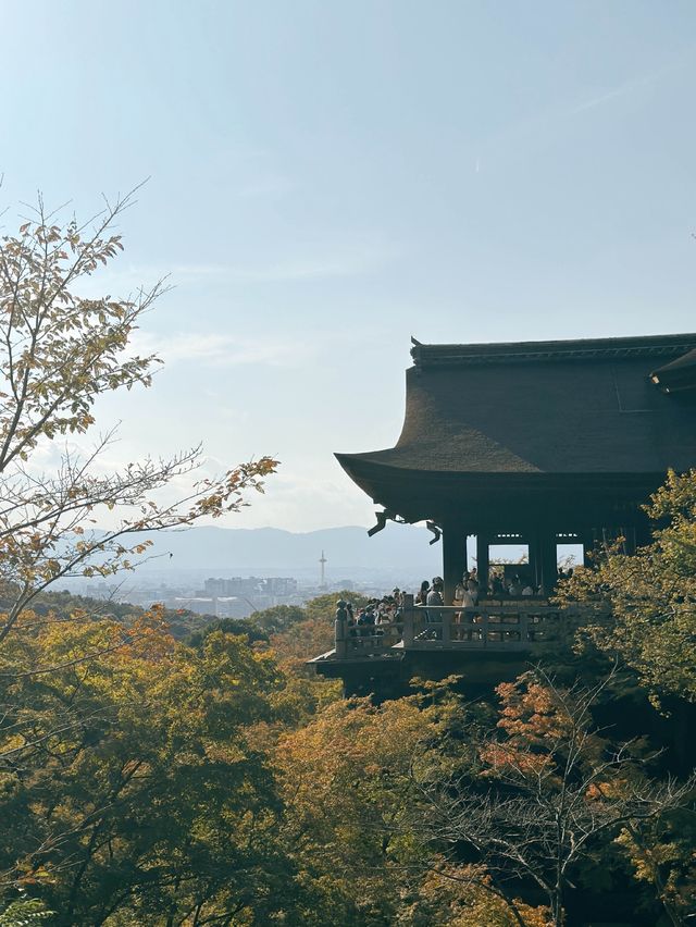 일본의 국보로 지정되어 있는 ‘교토 기요미즈데라’🍂