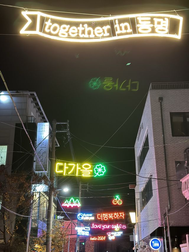 동명동 크리스마스 네온거리, 여행자의 집 트리정원💕