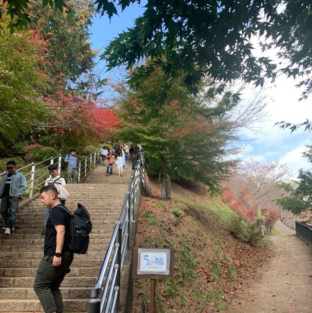 Chùa Chureito Yamanashi