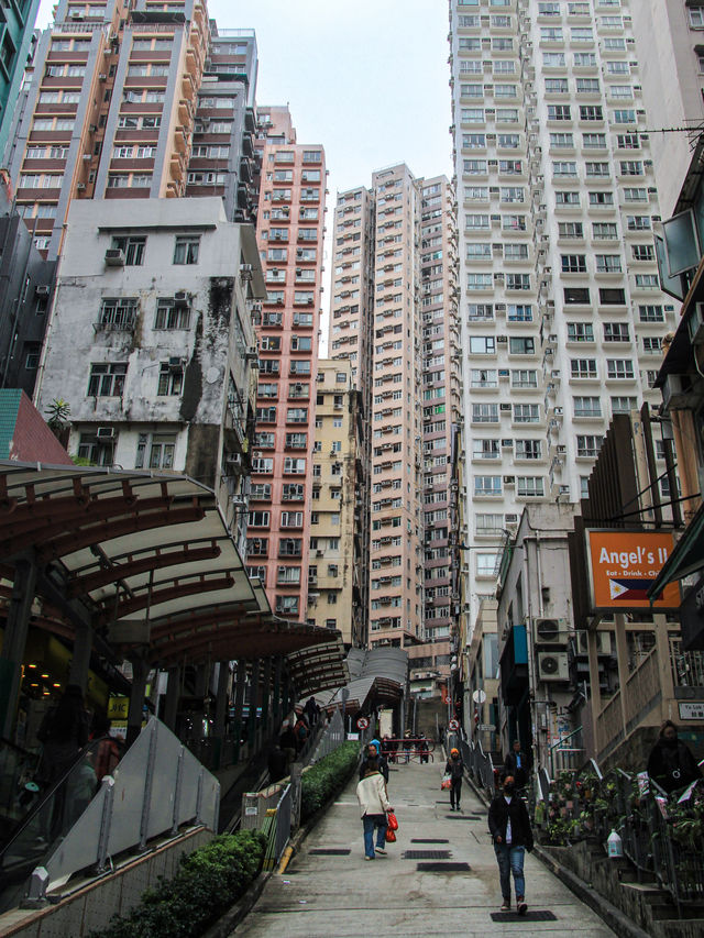 Hong Kong is a really beautiful city 🇭🇰