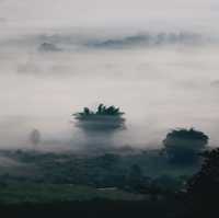 ผาช้างน้อย-ภูลังกา  
