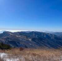 영남알프스 8봉 신불산 영축산 최단코스, 눈 산행
