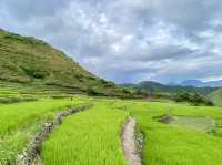 Tinglayan Rice Terraces